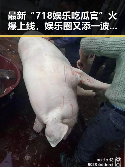 最新“718娱乐吃瓜官”火爆上线,娱乐圈又添一波热潮!