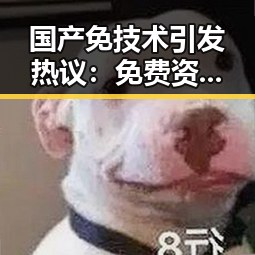 国产免技术引发热议：免费资源背后的真相与争议