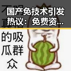国产免技术引发热议：免费资源背后的真相与争议