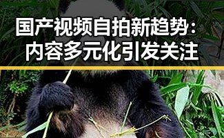 国产视频自拍新趋势：内容多元化引发关注